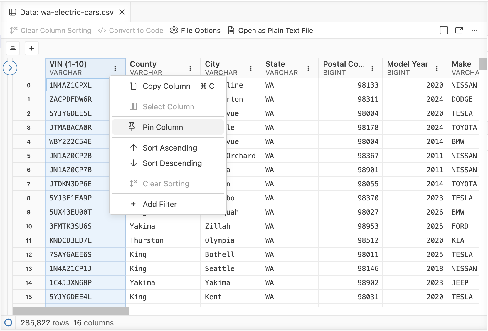 Positron's Data Explorer with a column pinned